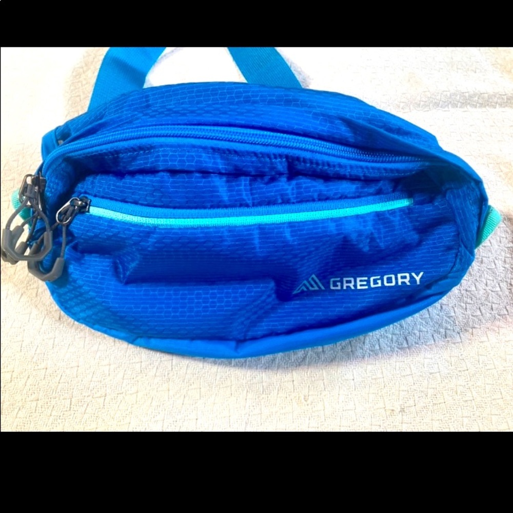 Gregory Royal Blue Teal Accent Waist Pack